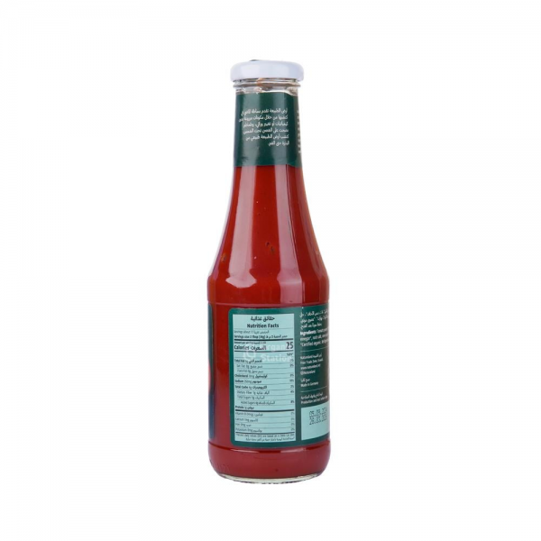 كاتشب طماطم عضوي أرض الطبيعة كاتشب طماطم عضوي أرض الطبيعة